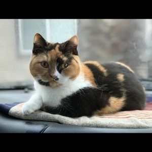 Meet your Posher, Kathryn